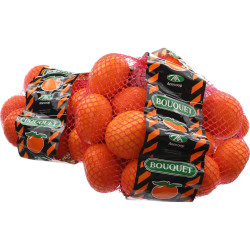 CLEMENTINE ORTANIQUE 10X2KG